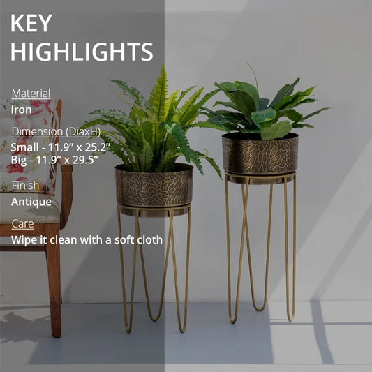 Key highlights of mia etched metal planter
