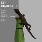 key highlights of bottle opener